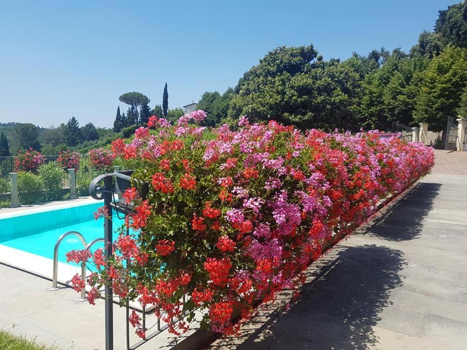 Residence Il Vigneto Lari Exterior photo